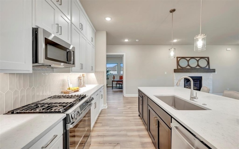 765 Shinnery Oak Way, Waxahachie, TX 75165, 4 Habitaciones Habitaciones , ,3 BañosBaños,Residential,En Venta,765 Shinnery Oak Way,0,21098423