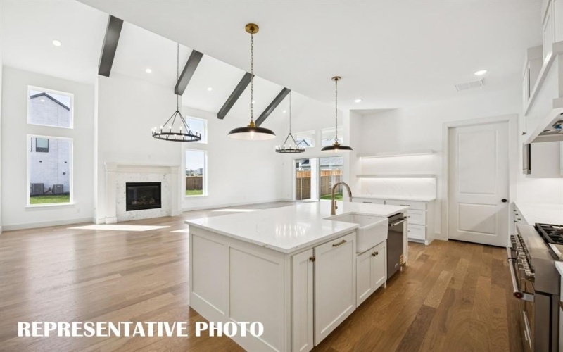 2309 Lacebark Lane, McKinney, TX 75071, 3 Bedrooms Bedrooms, ,3 BathroomsBathrooms,Residential,For Sale,2309 Lacebark Lane,0,21098456