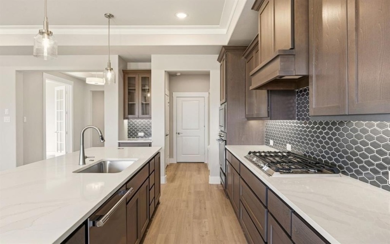 191 Pomona Creek, Prosper, TX 75078, 2 Bedrooms Bedrooms, ,2 BathroomsBathrooms,Residential,For Sale,191 Pomona Creek,0,21100602