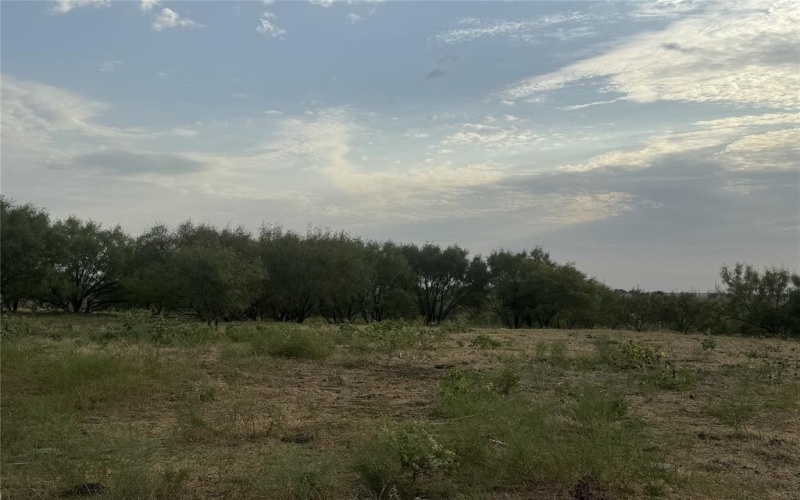 381 Private Road 4512, Decatur, TX 76234, 3 Habitaciones Habitaciones , ,2 BañosBaños,Residential,En Venta,381 Private Road 4512,0,21095947