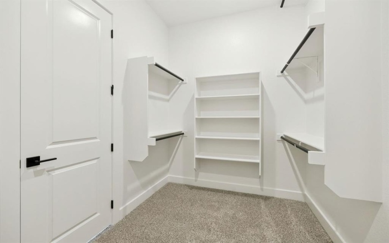 9486 Jackson Vine Mews, Frisco, TX 75035, 4 Bedrooms Bedrooms, ,3 BathroomsBathrooms,Residential,For Sale,9486 Jackson Vine Mews,0,21100923