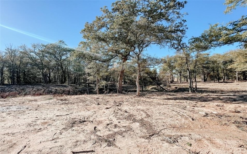 319 Rita Ridge Court, Millsap, TX 76066, 4 Habitaciones Habitaciones , ,2 BañosBaños,Residential,En Venta,319 Rita Ridge Court,0,21101016