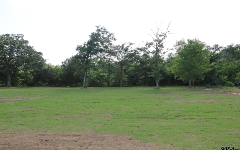 16519 Cooper Way, Tyler, TX 75703, 4 Bedrooms Bedrooms, ,3 BathroomsBathrooms,Residential,For Sale,16519 Cooper Way,0,25016049