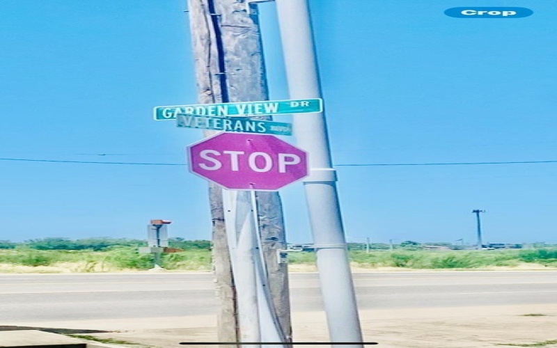 2853 Garden View Drive, Eagle Pass, TX 78852, 3 Bedrooms Bedrooms, ,2 BathroomsBathrooms,Residential,For Sale,2853 Garden View Drive,0,81813