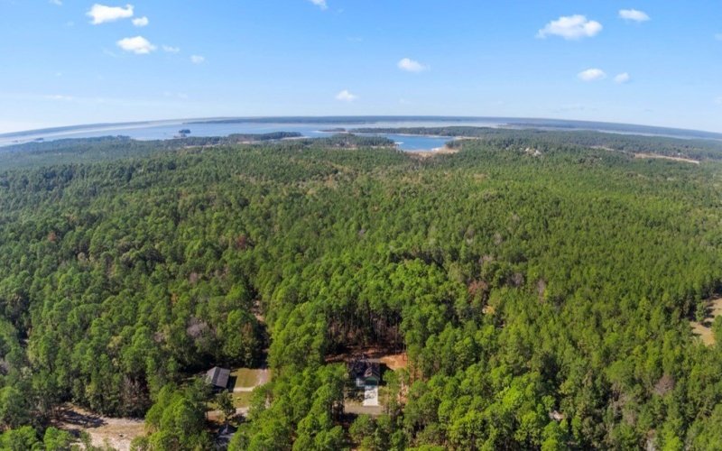 160 Sweetgum Drive, Brookeland, TX 75931, 3 Habitaciones Habitaciones , ,2 BañosBaños,Residential,En Venta,160 Sweetgum Drive,0,5106993