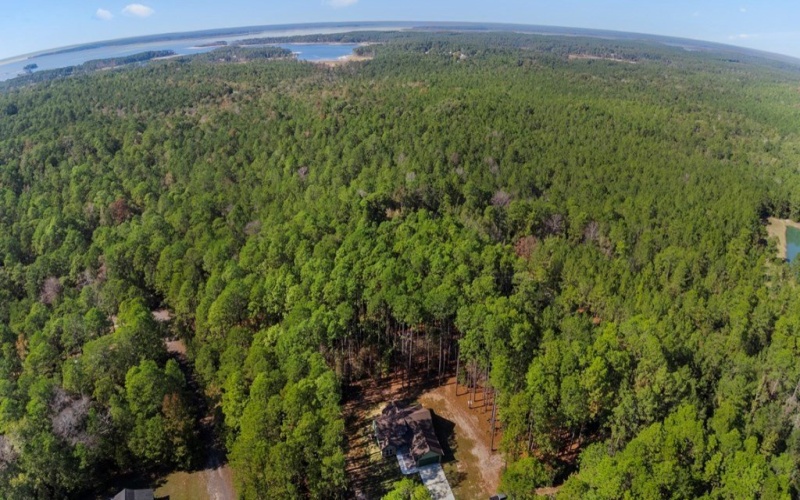 160 Sweetgum Drive, Brookeland, TX 75931, 3 Habitaciones Habitaciones , ,2 BañosBaños,Residential,En Venta,160 Sweetgum Drive,0,5106993