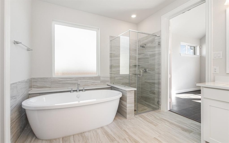 446 Matador Drive, Fate, TX 75189, 3 Habitaciones Habitaciones , ,2 BañosBaños,Residential,En Venta,446 Matador Drive,0,21102976