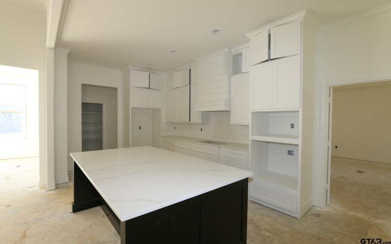 11796-B Jayden Lane, Tyler, TX 75703, 3 Habitaciones Habitaciones , ,2 BañosBaños,Residential,En Venta,11796-B Jayden Lane,0,25016257