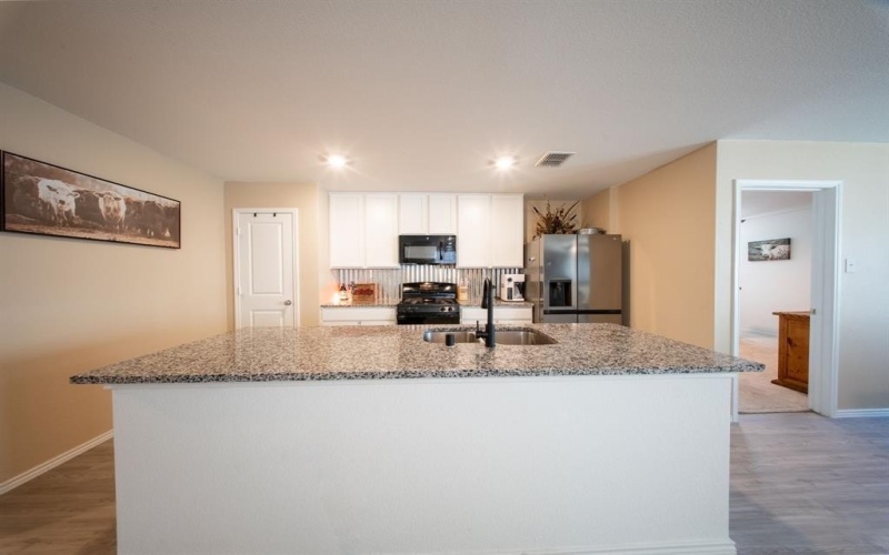 14128 Golden Bridge Drive, Pilot Point, TX 76258, 4 Bedrooms Bedrooms, ,2 BathroomsBathrooms,Residential,For Sale,14128 Golden Bridge Drive,0,21098414