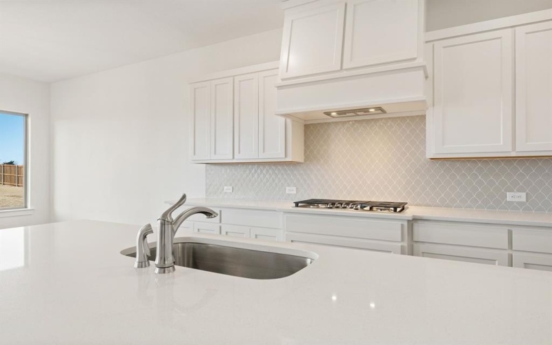 143 Galena Street, New Fairview, TX 76078, 4 Habitaciones Habitaciones , ,3 BañosBaños,Residential,En Venta,143 Galena Street,0,21105350