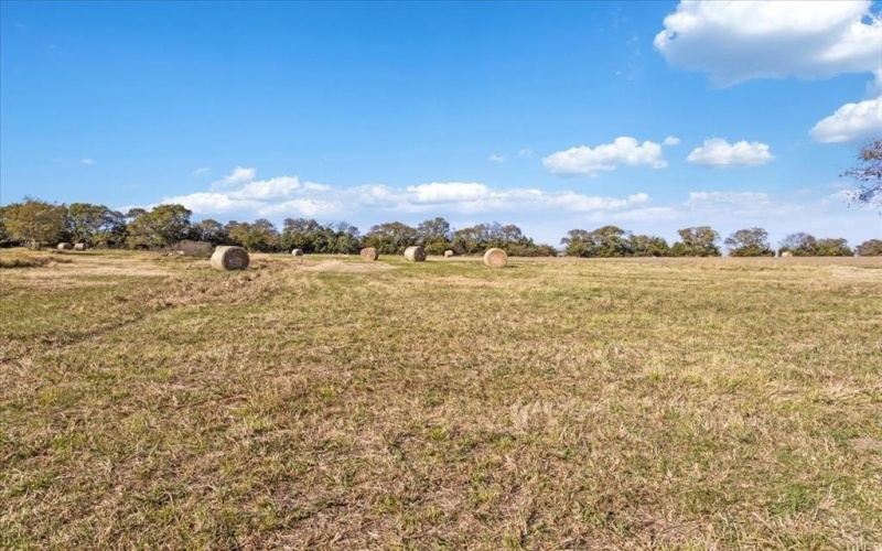 1948 County Road 1255, Savoy, TX 75479, 4 Habitaciones Habitaciones , ,2 BañosBaños,Residential,En Venta,1948 County Road 1255,0,21104120