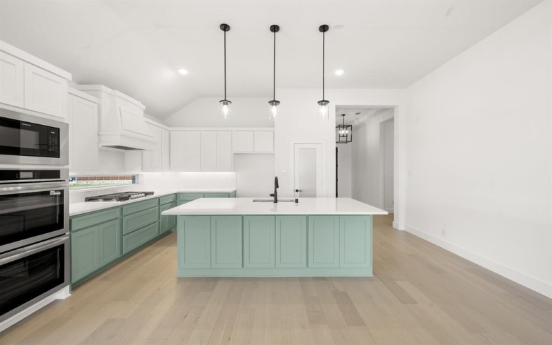 1228 Dolly Drive, Burleson, TX 76028, 4 Habitaciones Habitaciones , ,3 BañosBaños,Residential,En Venta,1228 Dolly Drive,0,21104963