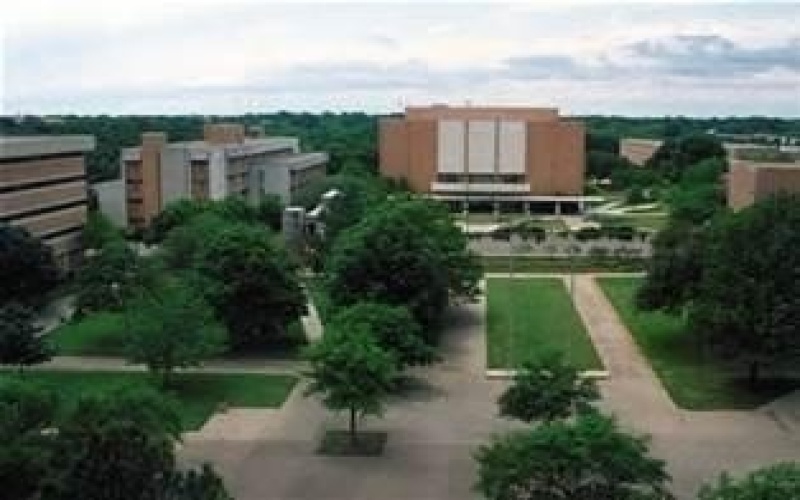 2003 Birch Street, Mansfield, TX 76063, 4 Bedrooms Bedrooms, ,3 BathroomsBathrooms,Residential,For Sale,2003 Birch Street,0,21105052