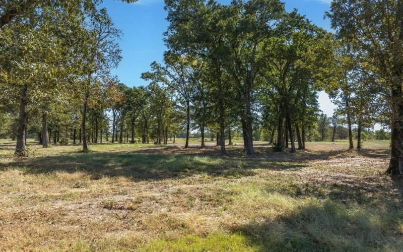 806 County Road 2918, Mineola, TX 75773, ,Tierra,En Venta,806 County Road 2918,0,21095593