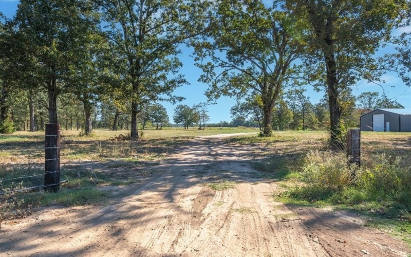 806 County Road 2918, Mineola, TX 75773, ,Tierra,En Venta,806 County Road 2918,0,21095593