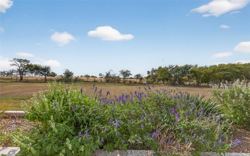 6810 Hunnington Drive, Sanger, TX 76266, 3 Habitaciones Habitaciones , ,2 BañosBaños,Residential,En Venta,6810 Hunnington Drive,0,21097366