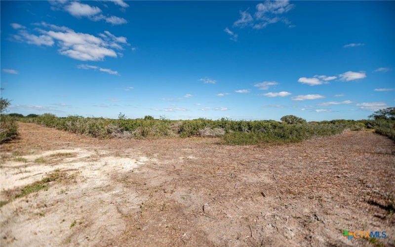 185 E Tiki Drive, Seadrift, TX 77983, 1 Bedroom Bedrooms, ,2 BathroomsBathrooms,Residential,For Sale,185 E Tiki Drive,0,597217