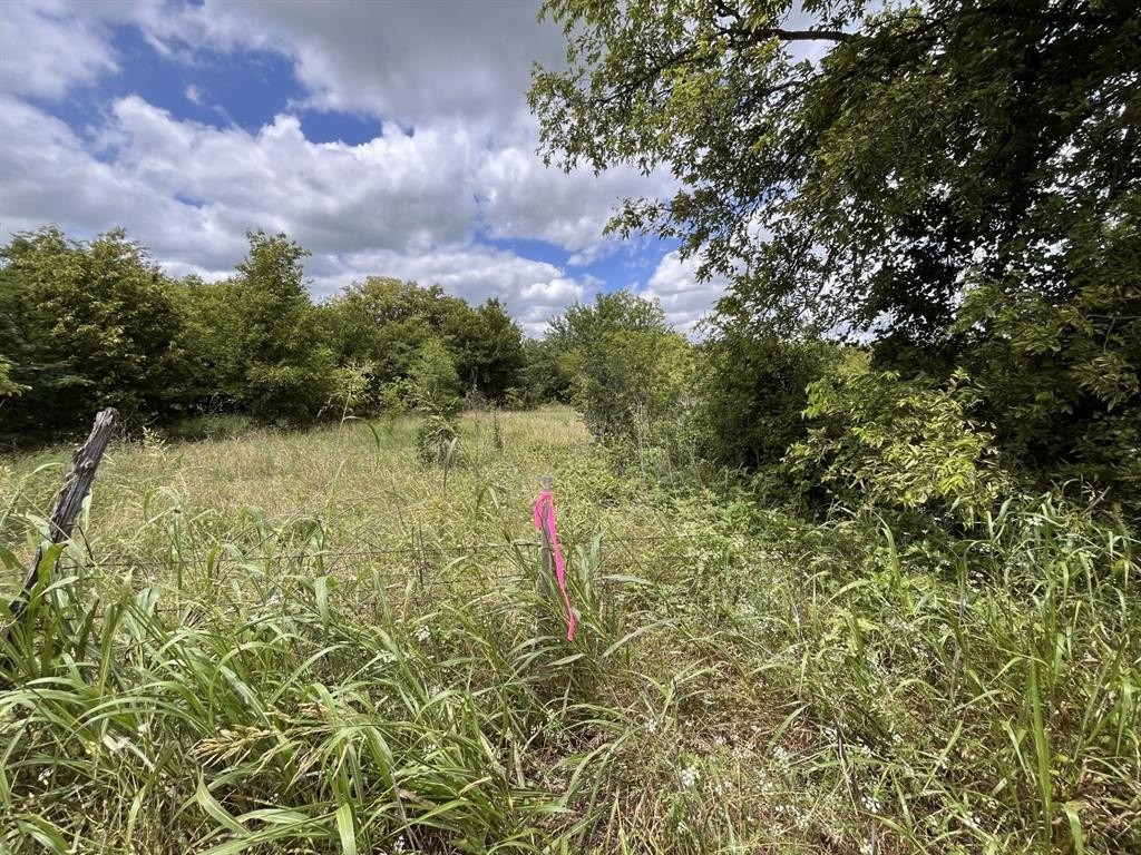 Cr 4365, Milford, TX 76670, ,Land,For Sale,Cr 4365,0,21081580