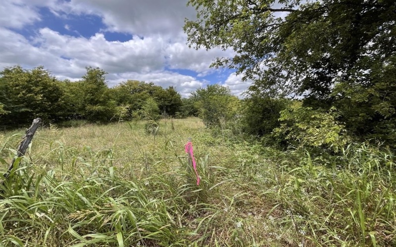 Cr 4365, Milford, TX 76670, ,Land,For Sale,Cr 4365,0,21081580