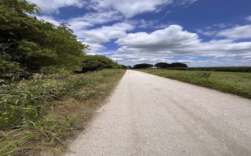 Cr 4365, Milford, TX 76670, ,Land,For Sale,Cr 4365,0,21081580