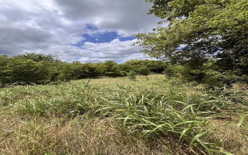 Cr 4365, Milford, TX 76670, ,Land,For Sale,Cr 4365,0,21081580