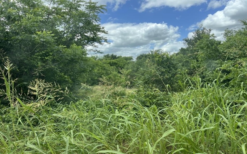 Cr 4365, Milford, TX 76670, ,Land,For Sale,Cr 4365,0,21081580