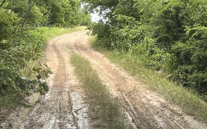 Cr 4365, Milford, TX 76670, ,Land,For Sale,Cr 4365,0,21081580