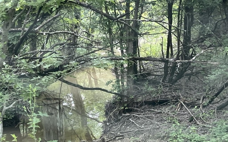 Cr 4365, Milford, TX 76670, ,Land,For Sale,Cr 4365,0,21081580