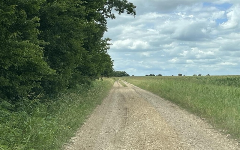 Cr 4365, Milford, TX 76670, ,Land,For Sale,Cr 4365,0,21081580