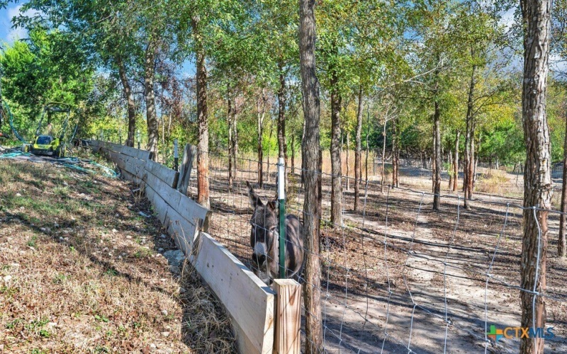 1445 Remington Circle, Moody, TX 76557, 4 Habitaciones Habitaciones , ,2 BañosBaños,Residential,En Venta,1445 Remington Circle,0,597238