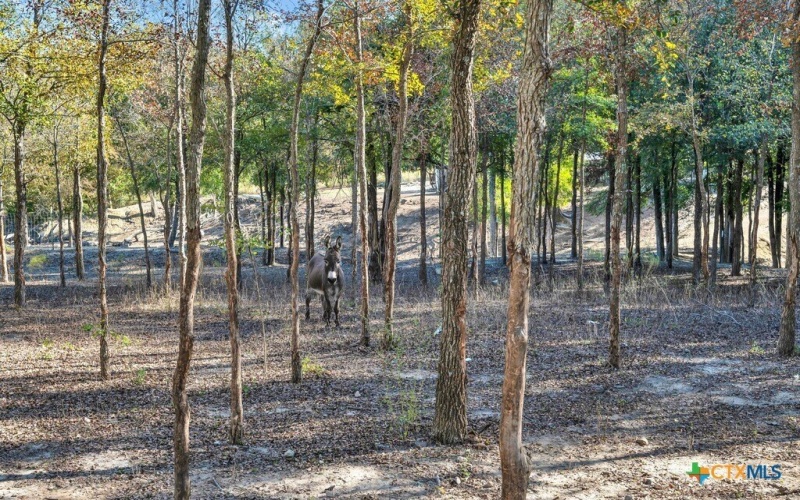 1445 Remington Circle, Moody, TX 76557, 4 Habitaciones Habitaciones , ,2 BañosBaños,Residential,En Venta,1445 Remington Circle,0,597238