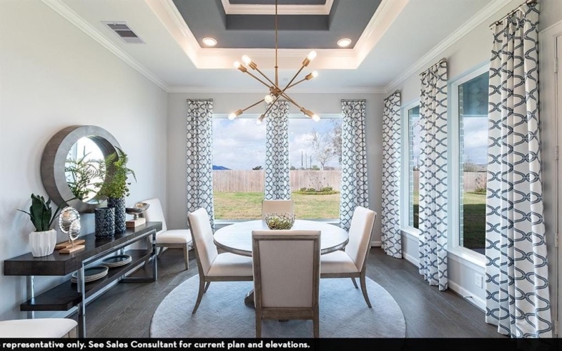 1842 Costa Verde Drive, Rockwall, TX 75032, 4 Bedrooms Bedrooms, ,3 BathroomsBathrooms,Residential,For Sale,1842 Costa Verde Drive,0,21106304