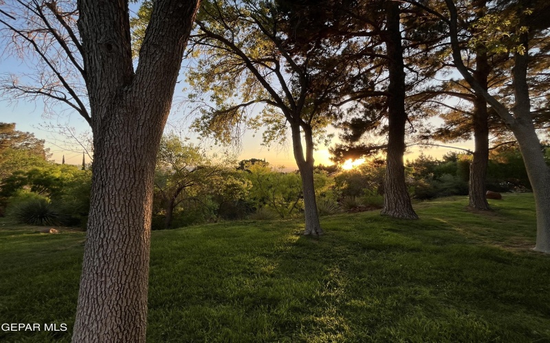 5745 MIRA GRANDE Drive, El Paso, TX 79912, 5 Bedrooms Bedrooms, ,2 BathroomsBathrooms,Residential,For Sale,5745 MIRA GRANDE Drive,0,933563