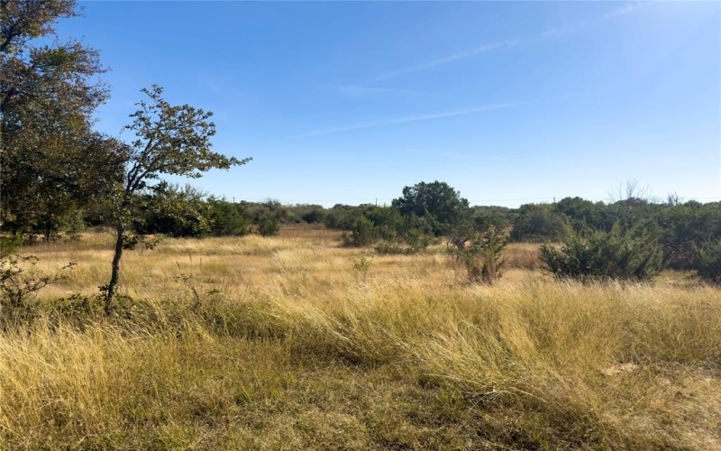 14250 County Road 209, Hico, TX 76457, ,Tierra,En Venta,14250 County Road 209,0,21104375