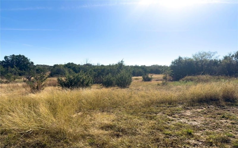 14250 County Road 209, Hico, TX 76457, ,Tierra,En Venta,14250 County Road 209,0,21104375