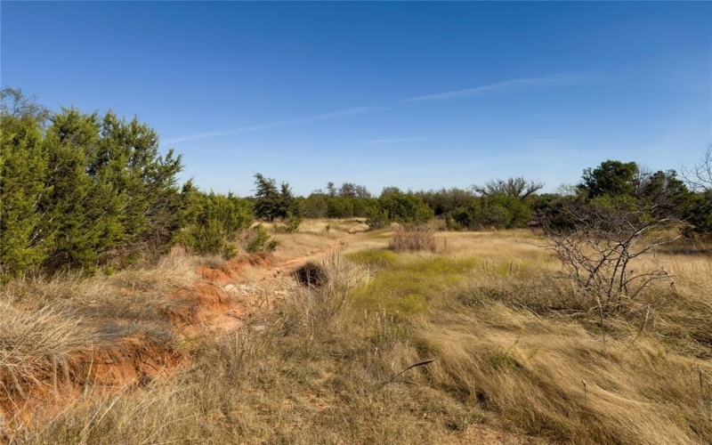 14250 County Road 209, Hico, TX 76457, ,Tierra,En Venta,14250 County Road 209,0,21104375