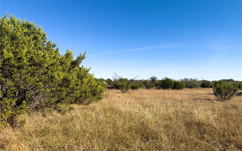 14250 County Road 209, Hico, TX 76457, ,Tierra,En Venta,14250 County Road 209,0,21104375