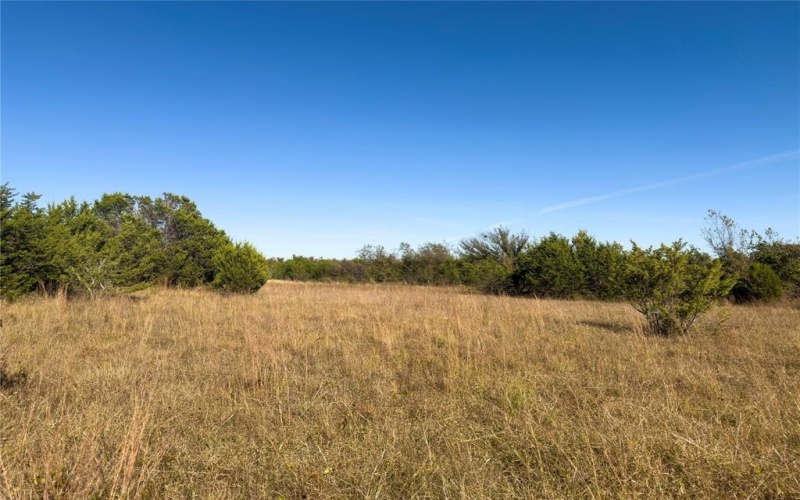 14250 County Road 209, Hico, TX 76457, ,Tierra,En Venta,14250 County Road 209,0,21104375
