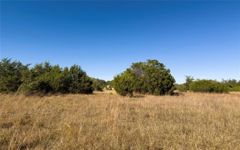 14250 County Road 209, Hico, TX 76457, ,Tierra,En Venta,14250 County Road 209,0,21104375