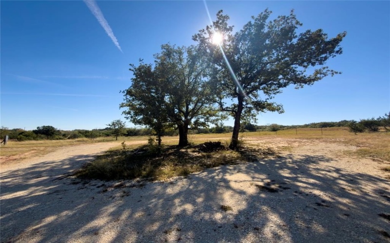 14250 County Road 209, Hico, TX 76457, ,Tierra,En Venta,14250 County Road 209,0,21104375