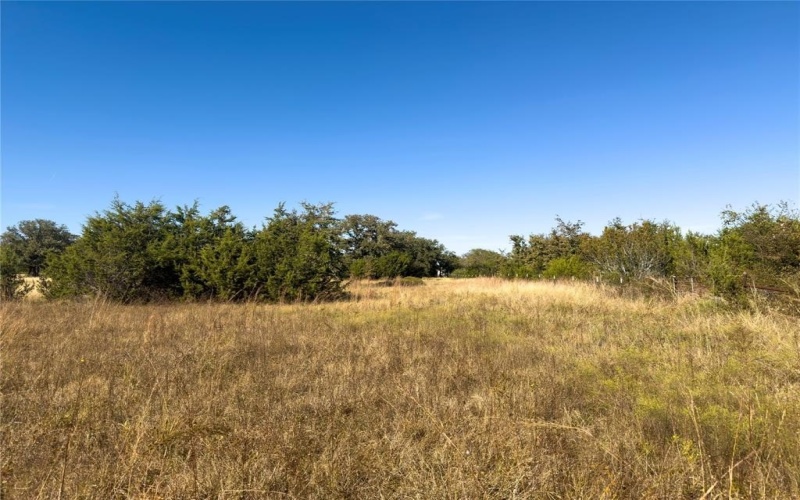 14250 County Road 209, Hico, TX 76457, ,Tierra,En Venta,14250 County Road 209,0,21104375