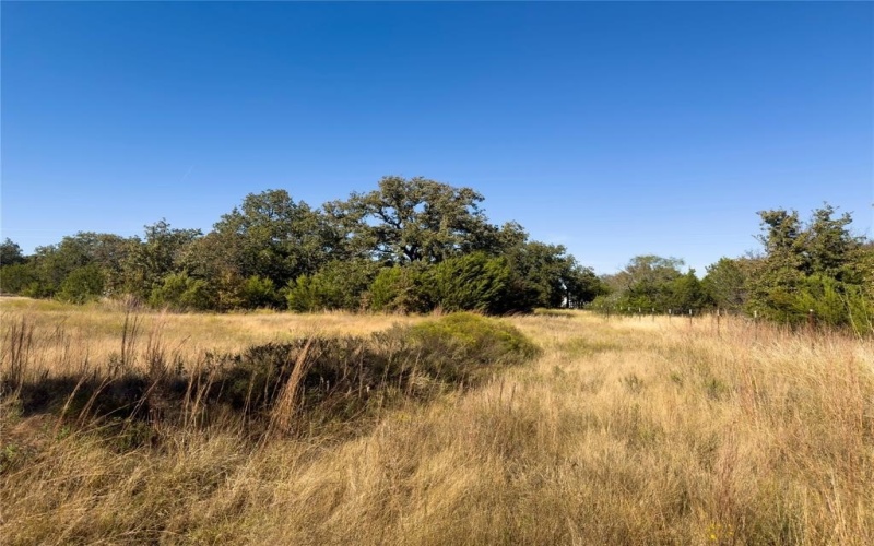 14250 County Road 209, Hico, TX 76457, ,Tierra,En Venta,14250 County Road 209,0,21104375