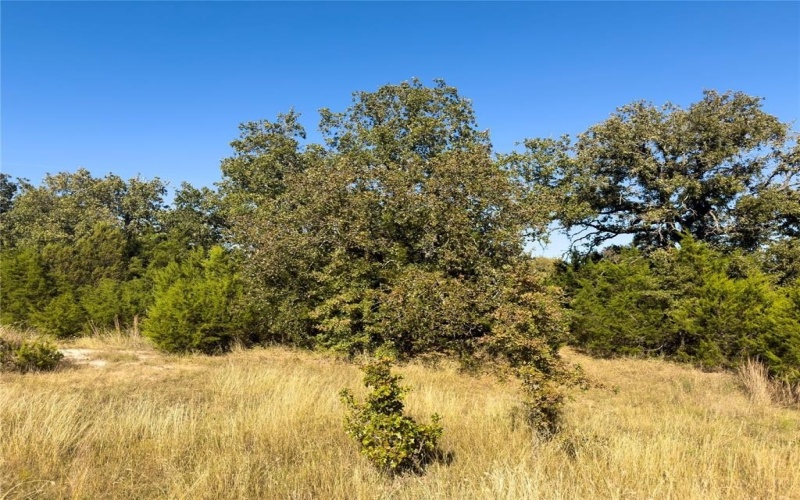 14250 County Road 209, Hico, TX 76457, ,Tierra,En Venta,14250 County Road 209,0,21104375