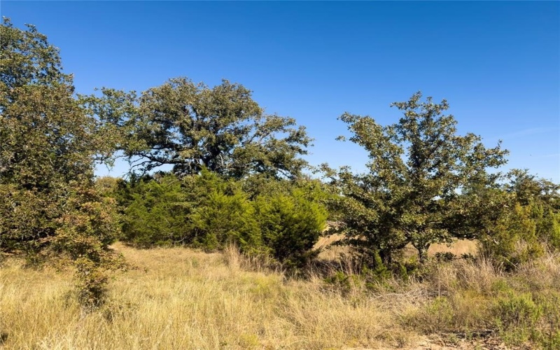 14250 County Road 209, Hico, TX 76457, ,Tierra,En Venta,14250 County Road 209,0,21104375