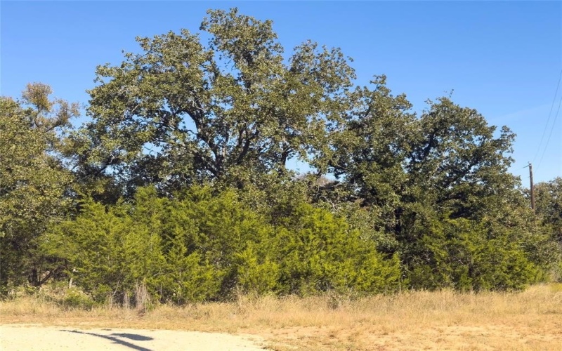 14250 County Road 209, Hico, TX 76457, ,Tierra,En Venta,14250 County Road 209,0,21104375