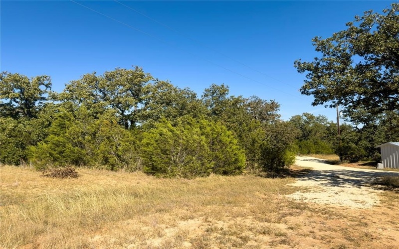 14250 County Road 209, Hico, TX 76457, ,Tierra,En Venta,14250 County Road 209,0,21104375