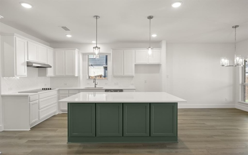 1819 Fannin Drive, Cedar Hill, TX 75104, 5 Habitaciones Habitaciones , ,5 BañosBaños,Residential,En Venta,1819 Fannin Drive,0,21109717