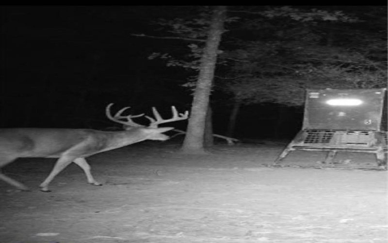 267 Private Road 6294, Palestine, TX 75801, 2 Bedrooms Bedrooms, ,2 BathroomsBathrooms,Residential,For Sale,267 Private Road 6294,0,21110300