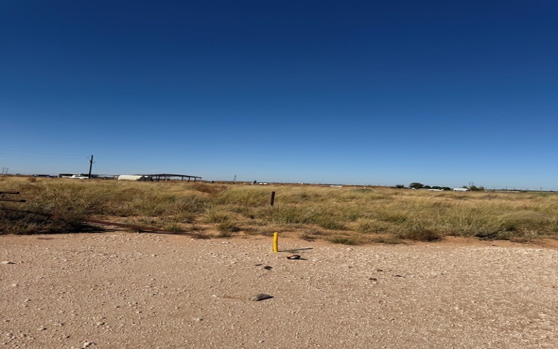 1864 State HWY 137, Stanton, TX 79782, ,Commercial Sale,For Sale,1864 State HWY 137,0,50086786