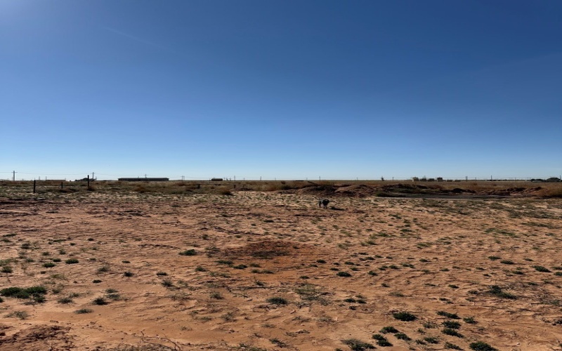 1864 State HWY 137, Stanton, TX 79782, ,Commercial Sale,For Sale,1864 State HWY 137,0,50086786